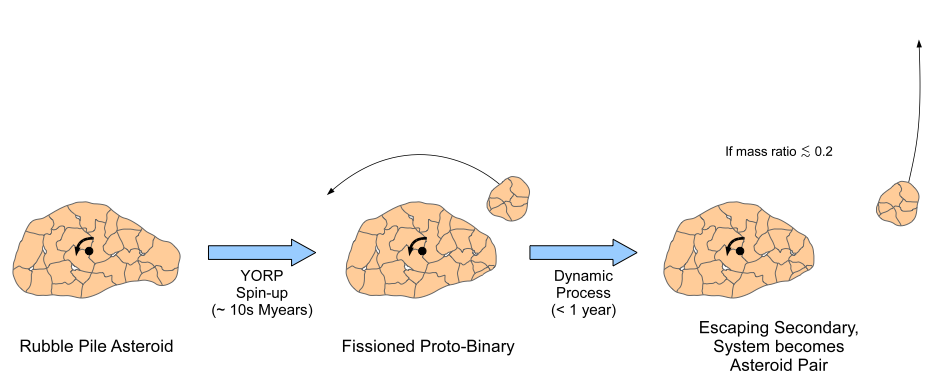 A conceptual sketch showing the evolution of a small (D<10km) and rubble-pile asteroid. The parent asteroid made of small component pieces is spun up beyond the critical fission speed by the Yarkovsky-O’Keefe-Radzievskii-Paddack (YORP) effect in tens million years forming a proto-binary system. If the smaller companion is less than 60 percent the size of the larger asteroid, it will gently separate from each other at relatively low velocity due to internal dynamics. The system will become an asteroid pair (or "divorced" asteroid).